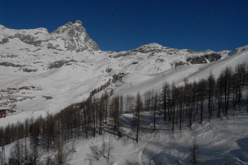 La Coquille Apartment Breuil-Cervinia Eksteriør bilde